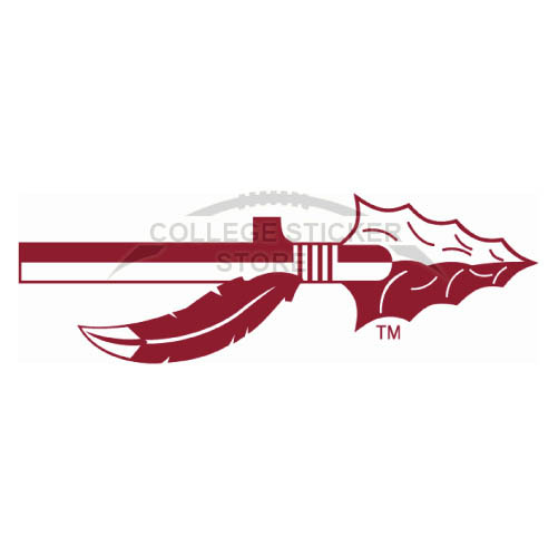 Design Florida State Seminoles Iron-on Transfers (Wall Stickers)NO.4396